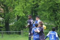 IMG_0856