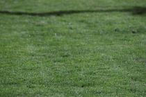 2026-03-21-J22-SPSH-vs-FC-BORGO106