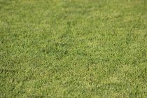 2026-03-21-J22-SPSH-vs-FC-BORGO26