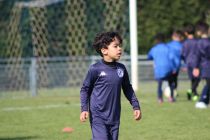 IMG_8860