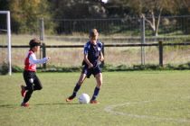 IMG_8421