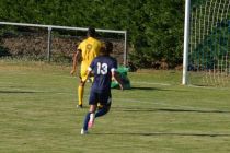 2020-07-29_18H19-30_075