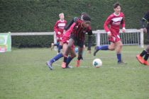 IMG_8810