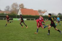 IMG_8826